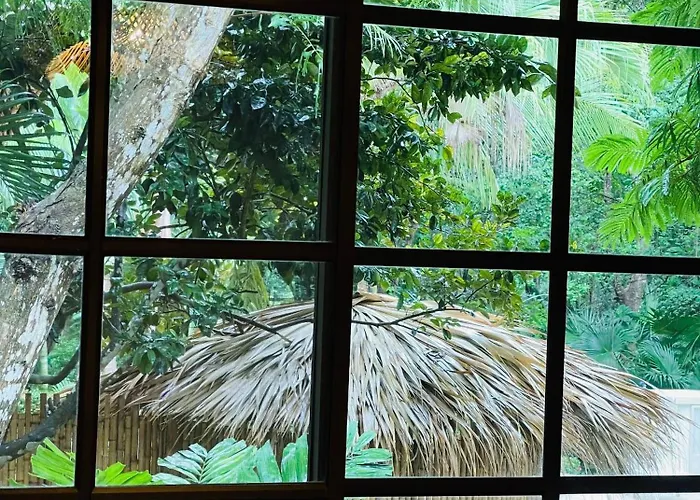 Guest house Family Jungle Stay, Minutes To Playa Conchal *