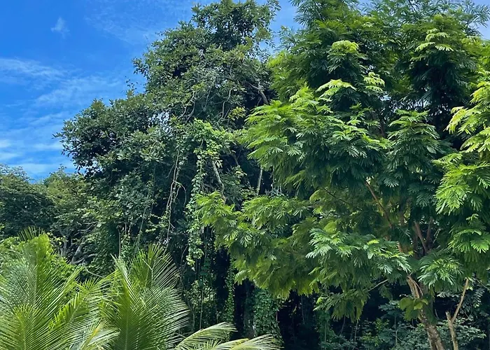 Family Jungle Stay, Minutes To Playa Conchal Guest house