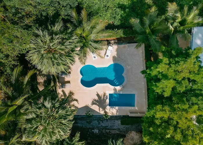 Family Jungle Stay, Minutes To Playa Conchal *
